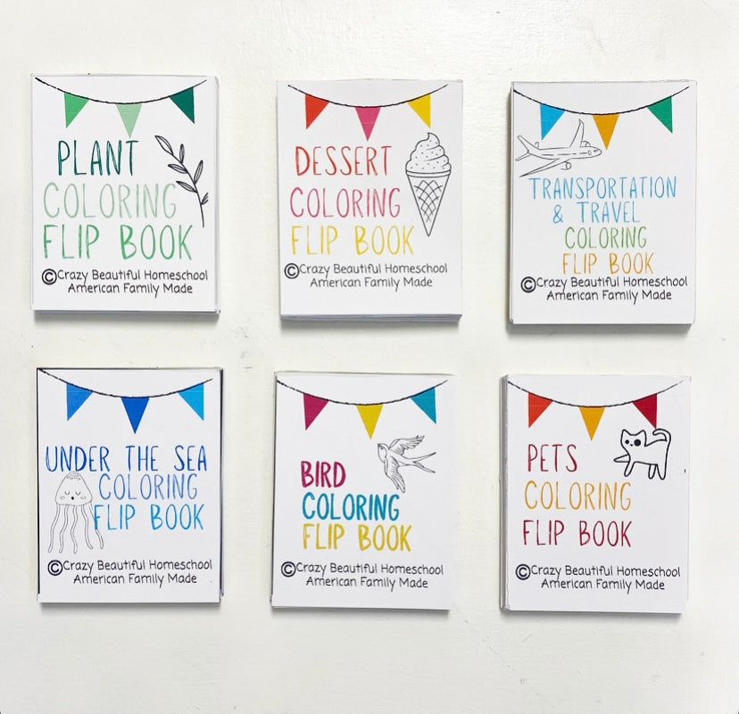 Mini Coloring book Bundle of 6.