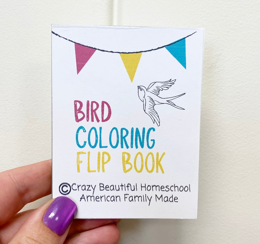 Mini Coloring book Bundle of 6.