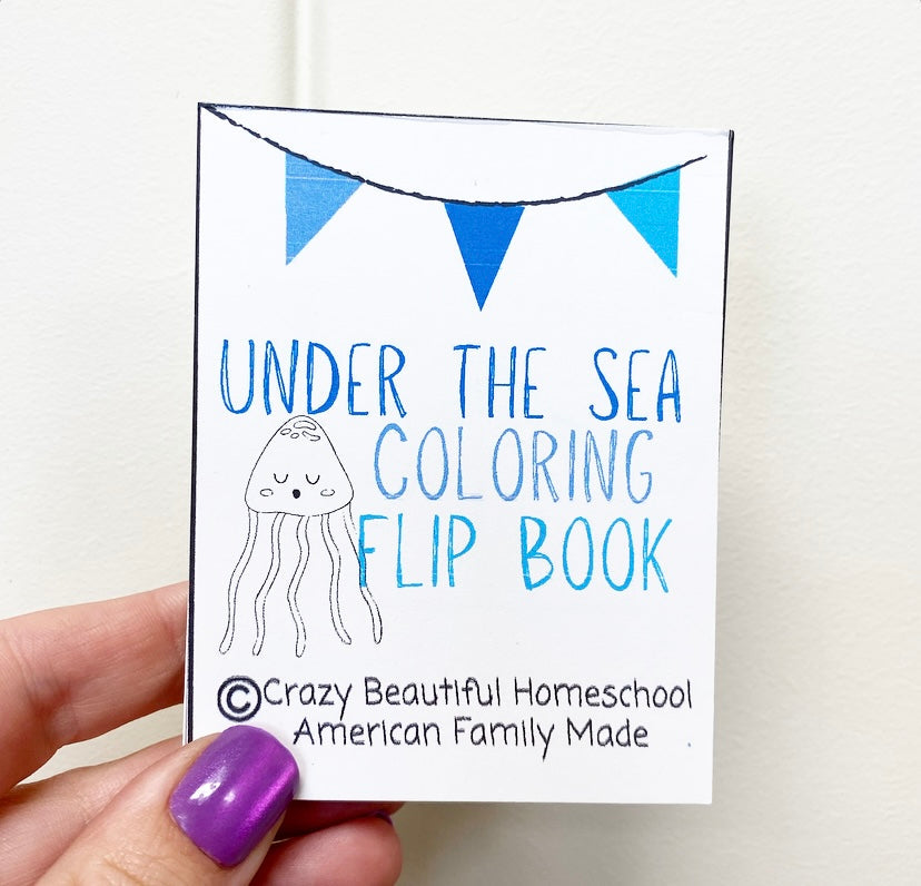 Mini Coloring book Bundle of 6.